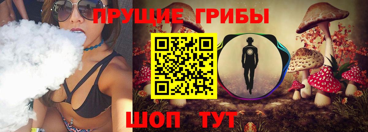 купить  сайты  Саров  Псилоцибиновые грибы мухоморы  Галлюциногенные грибы MAGIC MUSHROOMS 